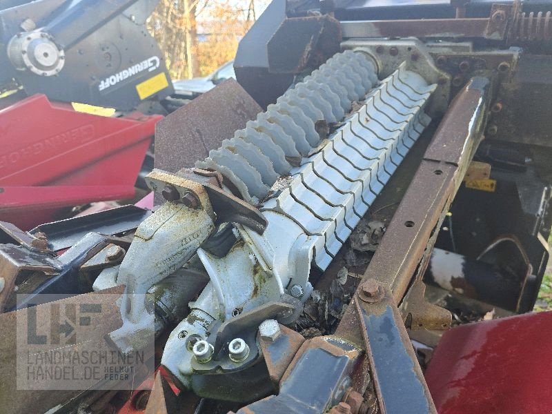 Maispflückvorsatz от тип Geringhoff Rota Disc 675, Gebrauchtmaschine в Burg/Spreewald (Снимка 14)