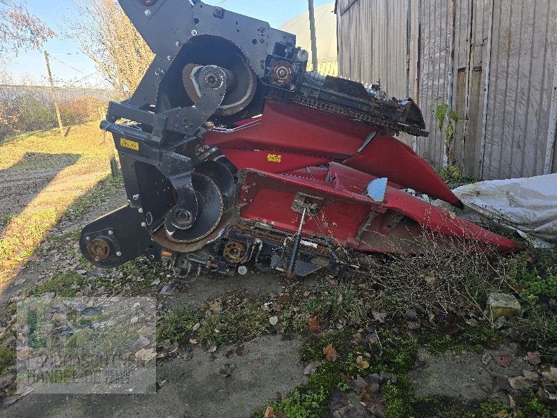 Maispflückvorsatz tip Geringhoff Rota Disc 675, Gebrauchtmaschine in Burg/Spreewald (Poză 2)