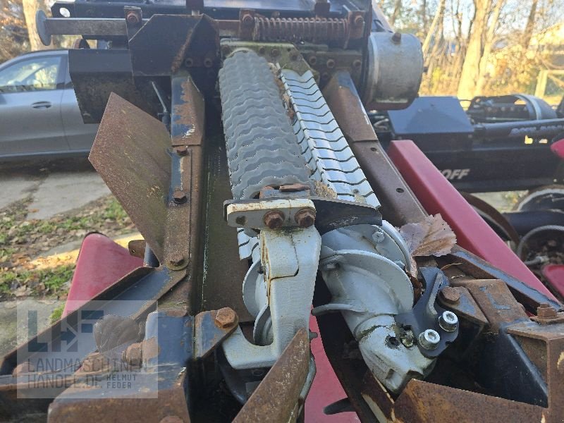 Maispflückvorsatz tip Geringhoff Rota Disc 675, Gebrauchtmaschine in Burg/Spreewald (Poză 3)