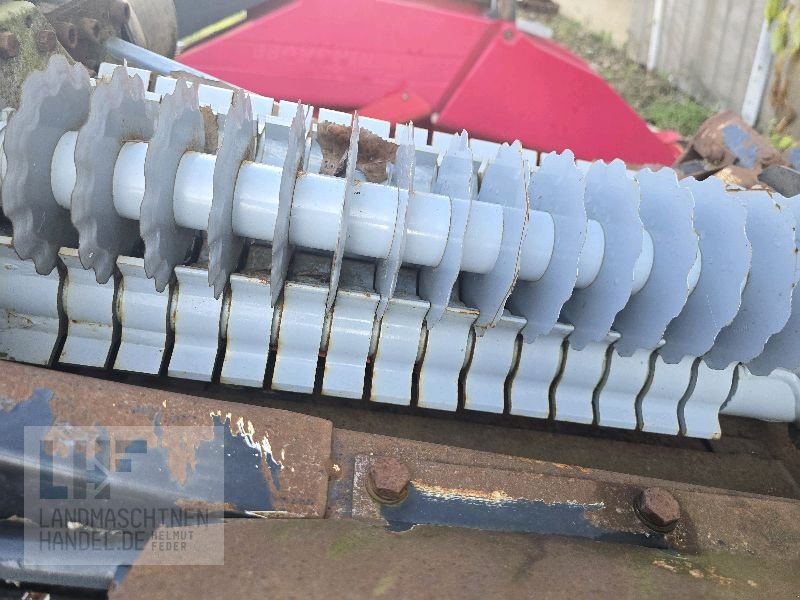 Maispflückvorsatz tip Geringhoff Rota Disc 675, Gebrauchtmaschine in Burg/Spreewald (Poză 4)