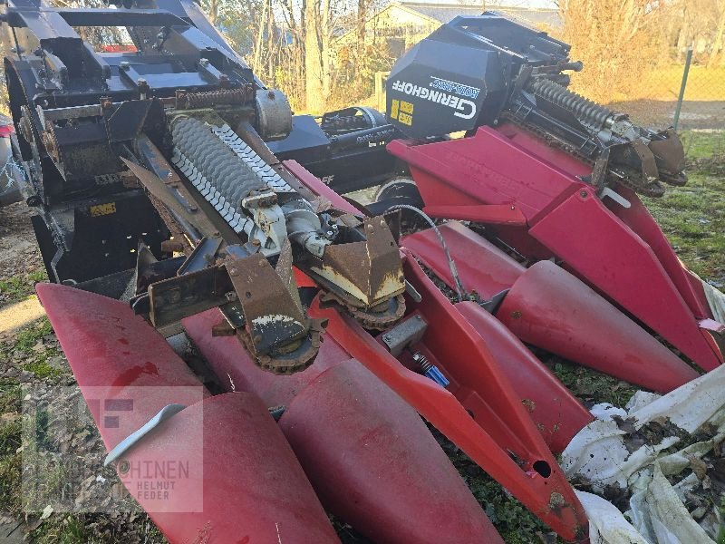 Maispflückvorsatz tip Geringhoff Rota Disc 675, Gebrauchtmaschine in Burg/Spreewald (Poză 9)
