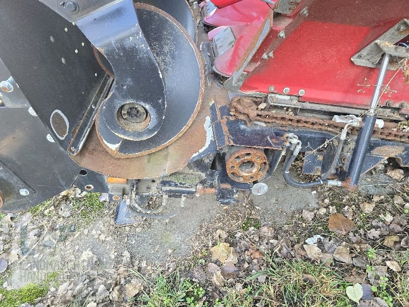 Maispflückvorsatz tip Geringhoff Rota Disc 675, Gebrauchtmaschine in Burg/Spreewald (Poză 10)