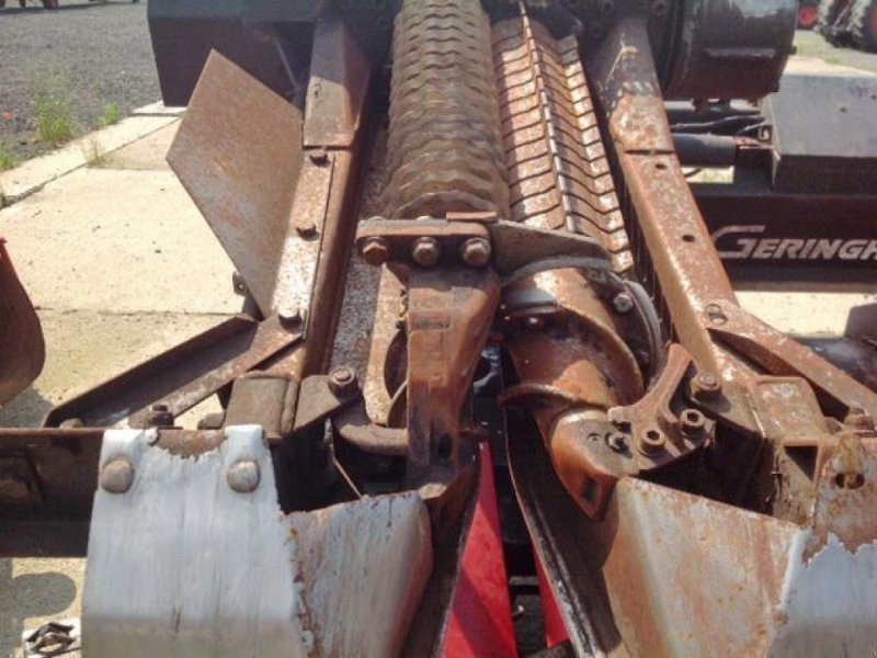 Maispflückvorsatz of the type Geringhoff ROTA DISC - RD 600F, Gebrauchtmaschine in Angermünde/OT Kerkow (Picture 5)