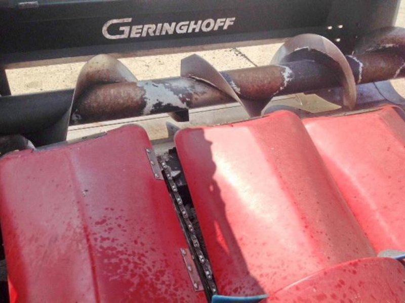 Maispflückvorsatz of the type Geringhoff ROTA DISC - RD 600F, Gebrauchtmaschine in Angermünde/OT Kerkow (Picture 6)