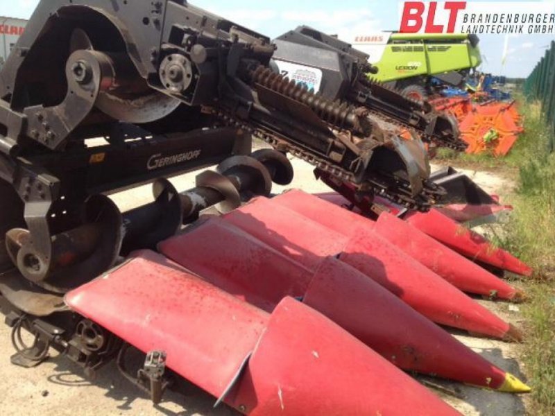 Maispflückvorsatz of the type Geringhoff ROTA DISC - RD 600F, Gebrauchtmaschine in Angermünde/OT Kerkow (Picture 1)