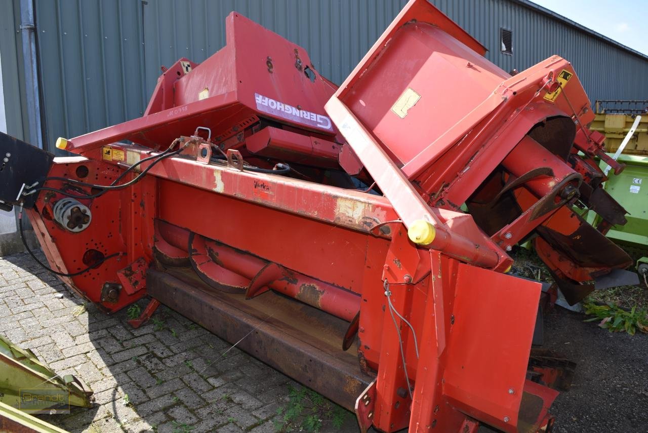 Maispflückvorsatz of the type Geringhoff Rota Disc, Gebrauchtmaschine in Oyten (Picture 3)