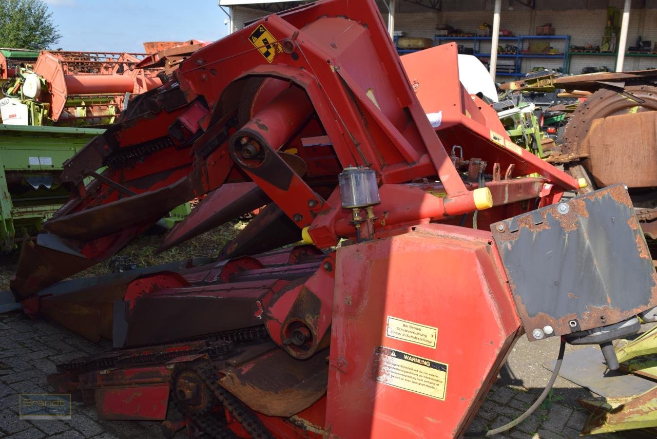 Maispflückvorsatz of the type Geringhoff Rota Disc, Gebrauchtmaschine in Oyten (Picture 5)