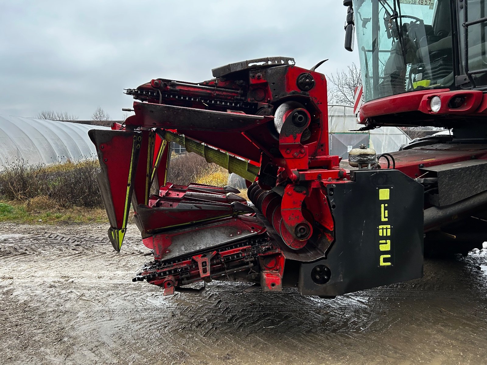 Maispflückvorsatz typu Olimac Drago 6, Gebrauchtmaschine v Aderklaa (Obrázek 1)