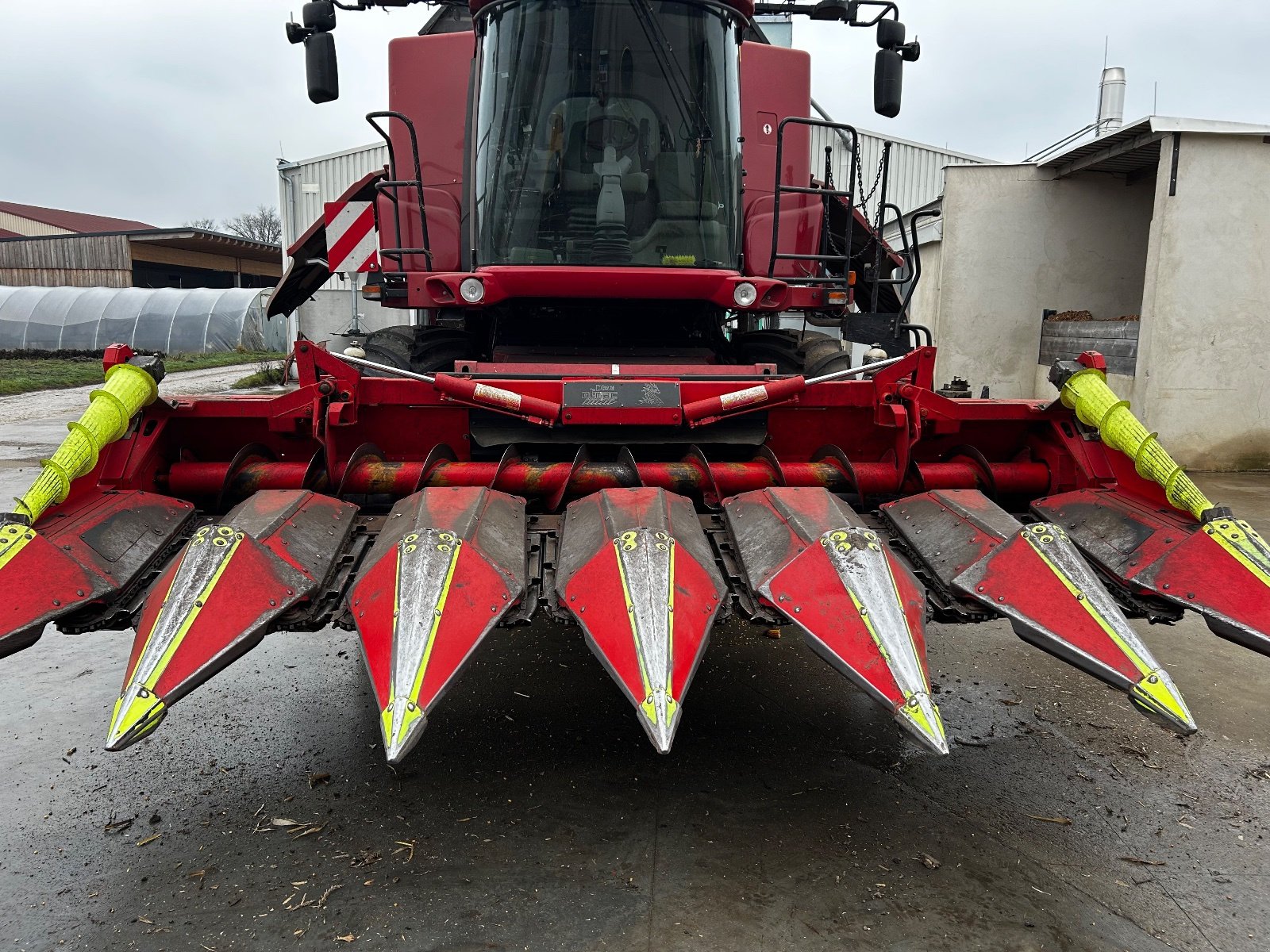 Maispflückvorsatz typu Olimac Drago 6, Gebrauchtmaschine v Aderklaa (Obrázek 2)