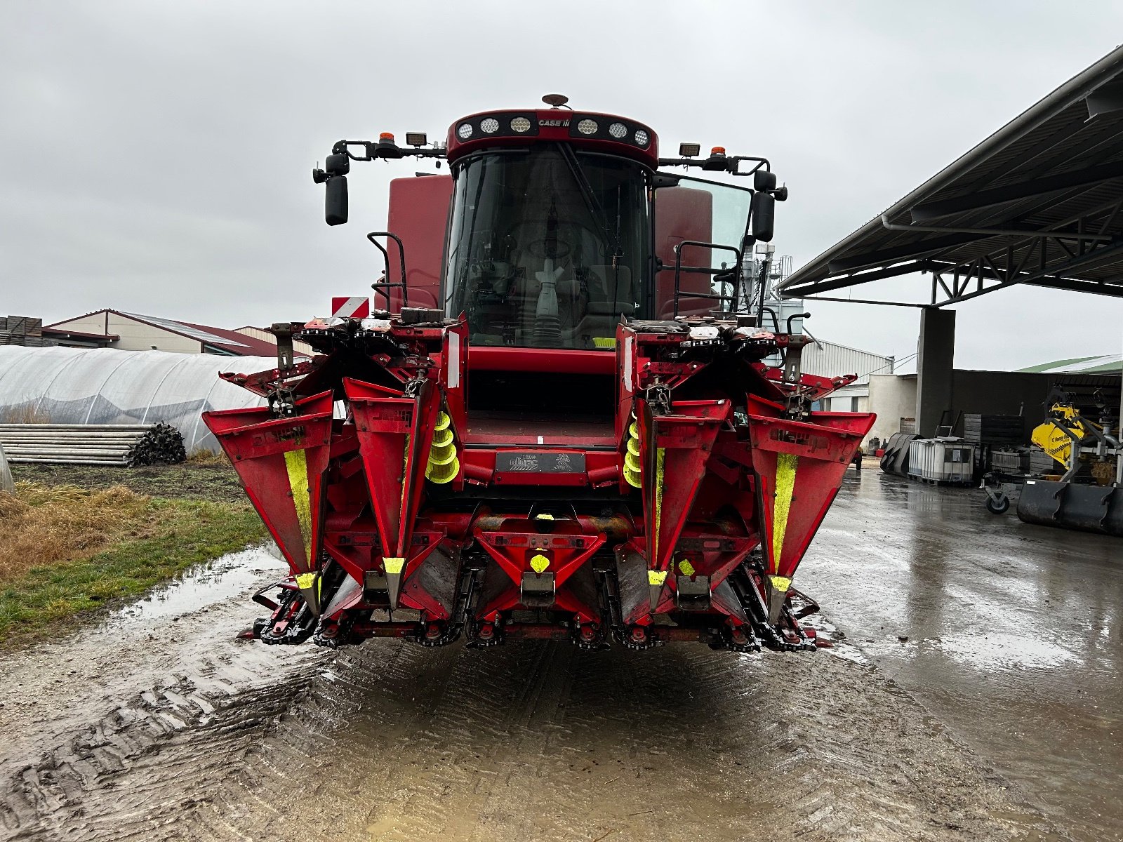 Maispflückvorsatz typu Olimac Drago 6, Gebrauchtmaschine v Aderklaa (Obrázek 3)