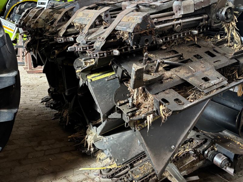 Maispflückvorsatz del tipo Olimac Drago 8, Gebrauchtmaschine en Wiedergeltingen