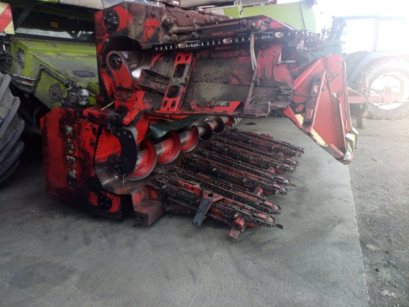 Maispflückvorsatz tip Olimac Drago 8, Gebrauchtmaschine in Hatzendorf (Poză 1)