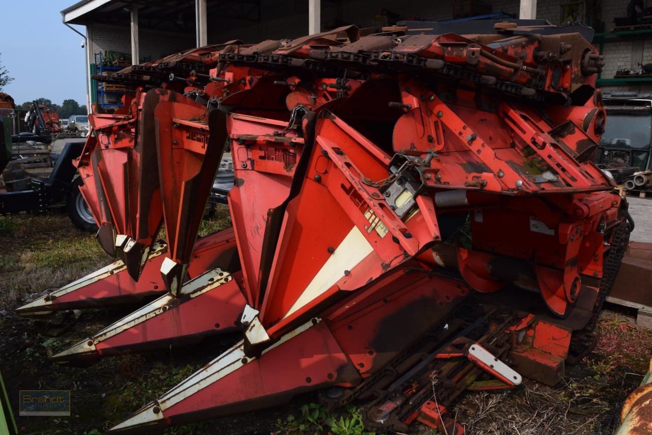 Maispflückvorsatz of the type Olimac Drago NR8TR, Gebrauchtmaschine in Oyten (Picture 1)