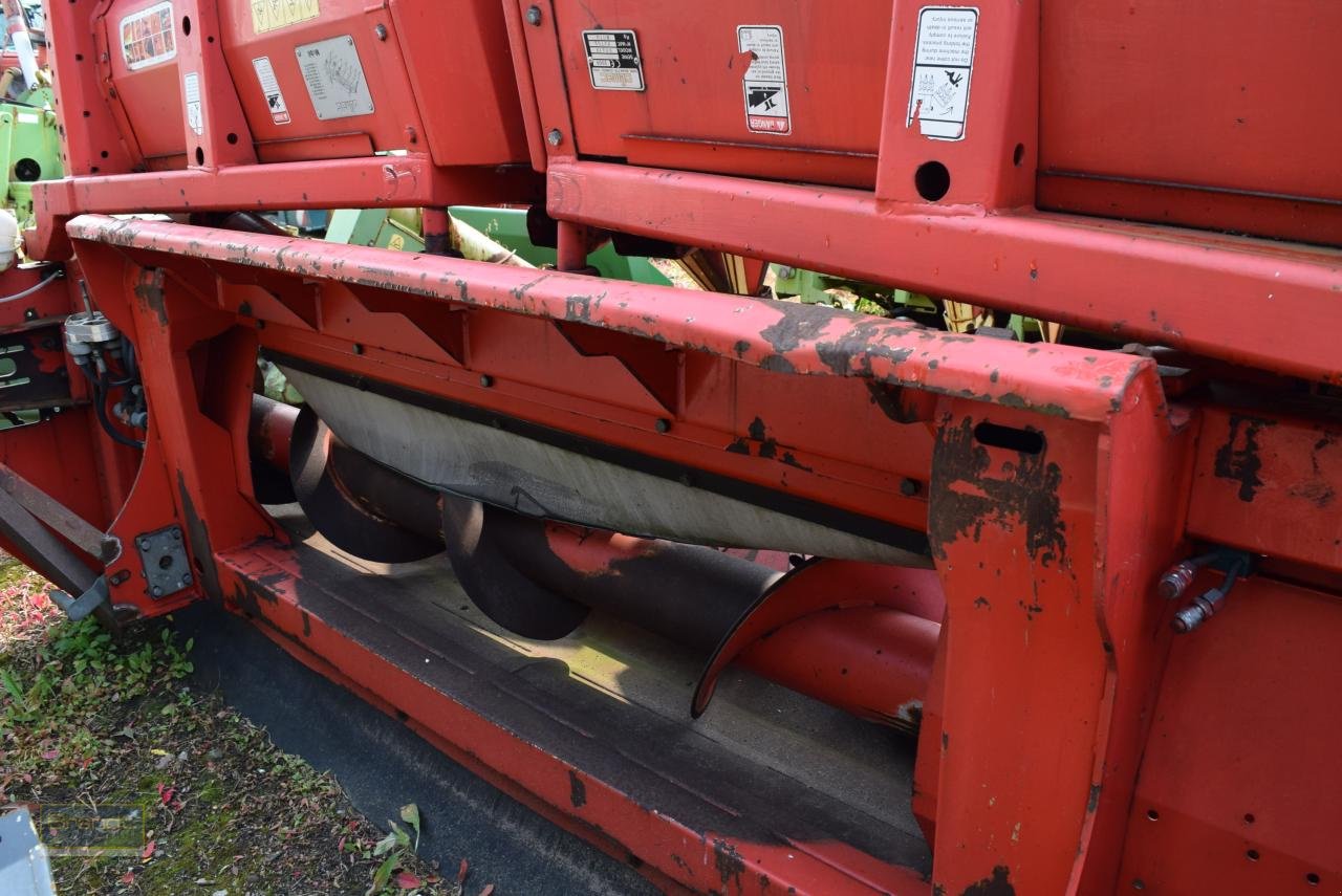 Maispflückvorsatz of the type Olimac Drago NR8TR, Gebrauchtmaschine in Oyten (Picture 5)