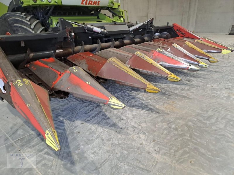 Maispflückvorsatz typu Olimac Drago NR8TR, Gebrauchtmaschine v Pragsdorf (Obrázek 1)