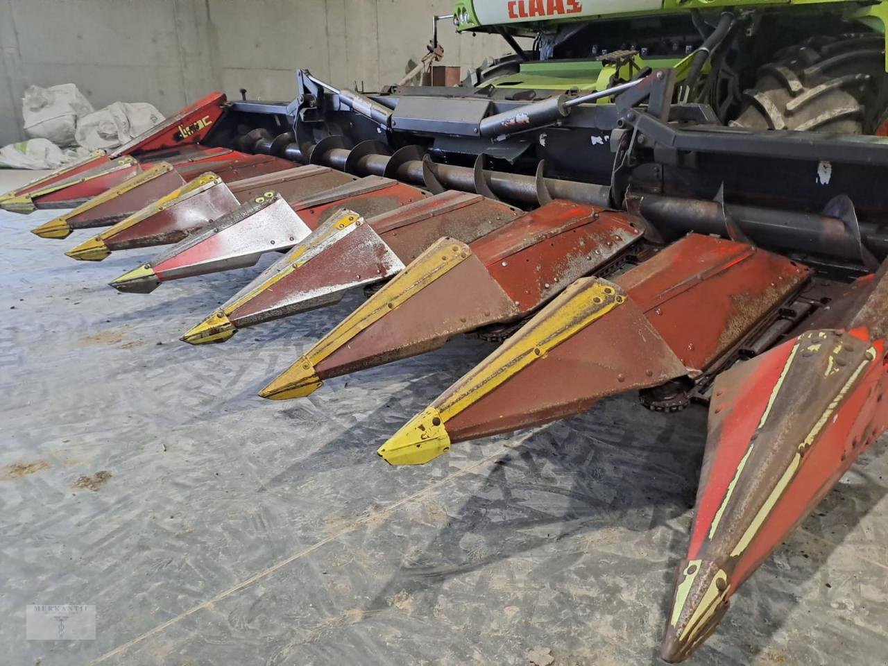 Maispflückvorsatz of the type Olimac Drago NR8TR, Gebrauchtmaschine in Pragsdorf (Picture 2)