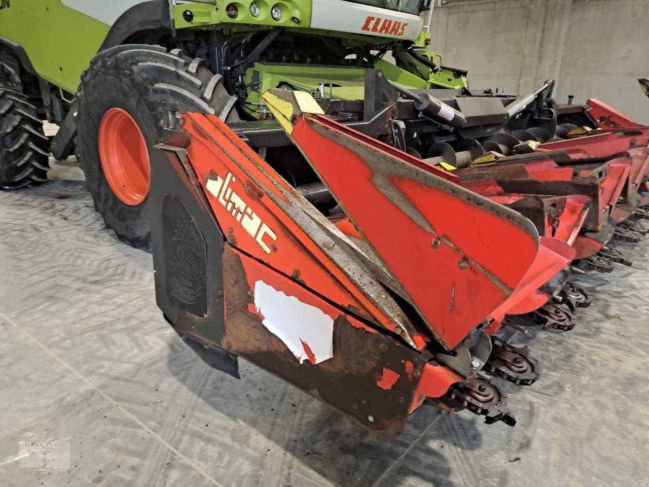 Maispflückvorsatz of the type Olimac Drago NR8TR, Gebrauchtmaschine in Pragsdorf (Picture 3)
