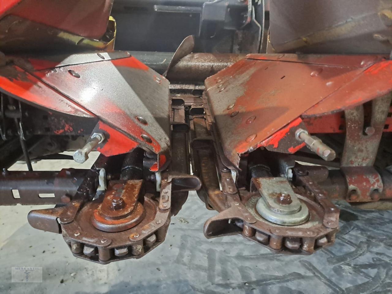 Maispflückvorsatz of the type Olimac Drago NR8TR, Gebrauchtmaschine in Pragsdorf (Picture 4)