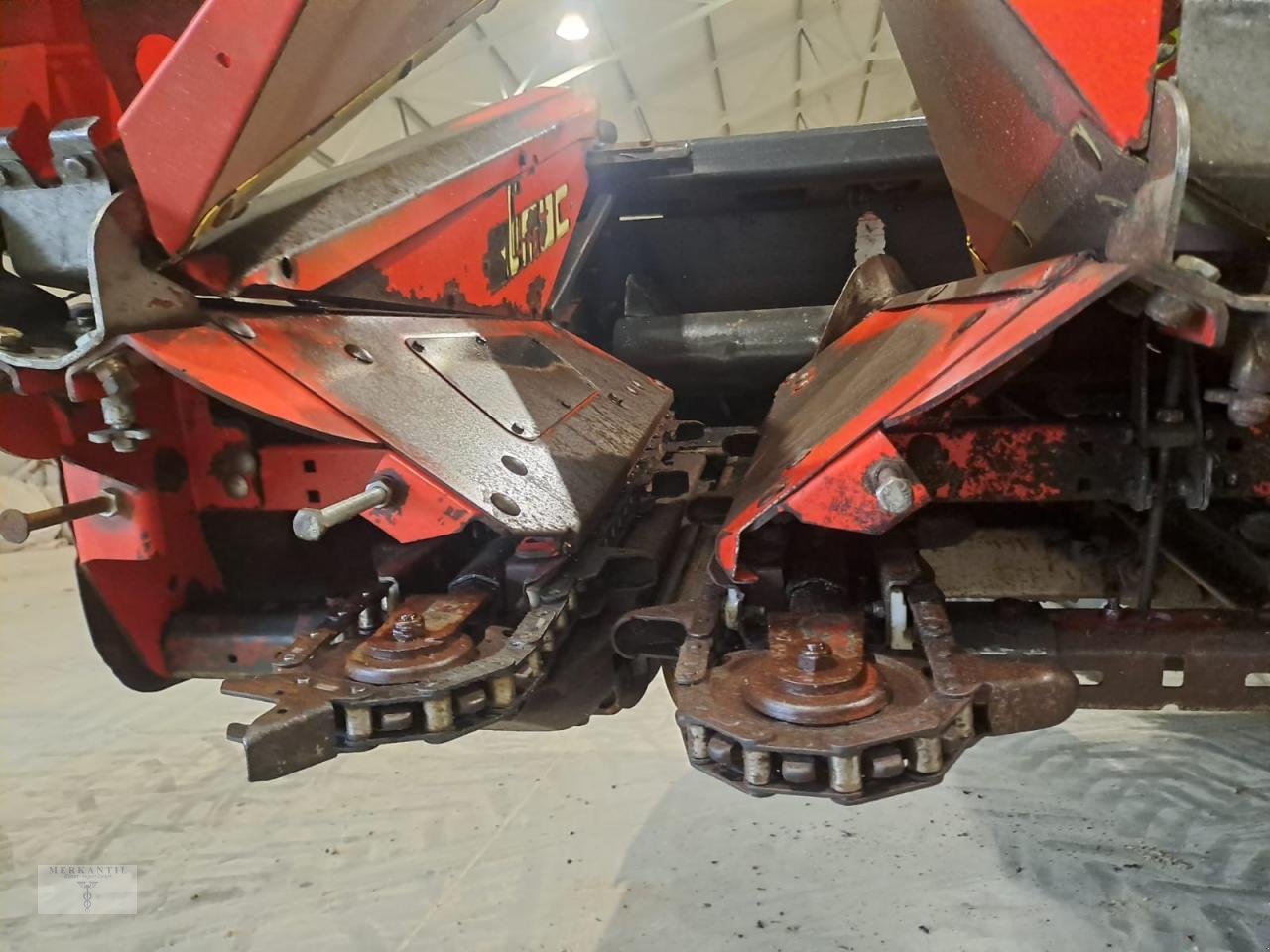 Maispflückvorsatz of the type Olimac Drago NR8TR, Gebrauchtmaschine in Pragsdorf (Picture 5)