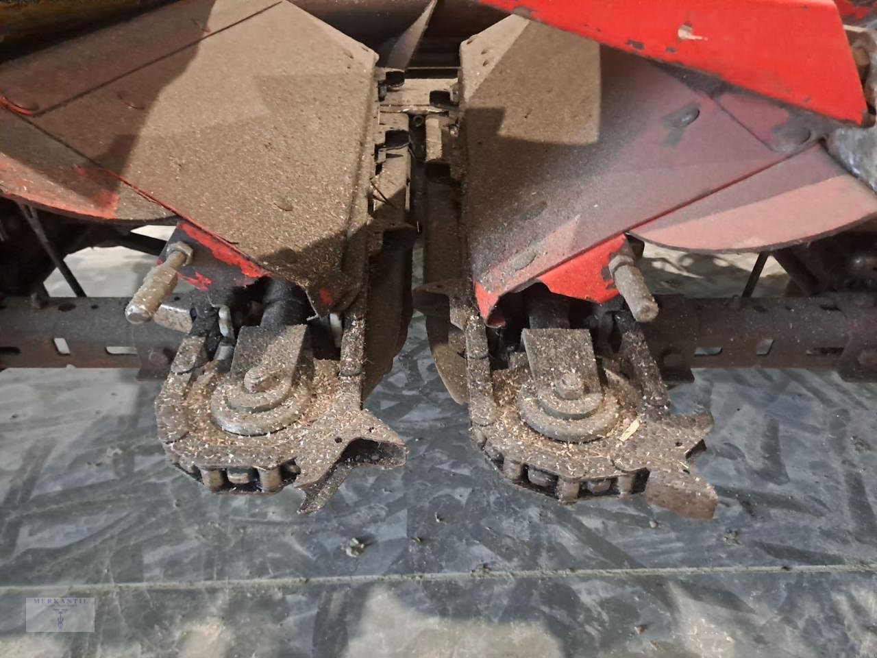 Maispflückvorsatz of the type Olimac Drago NR8TR, Gebrauchtmaschine in Pragsdorf (Picture 7)