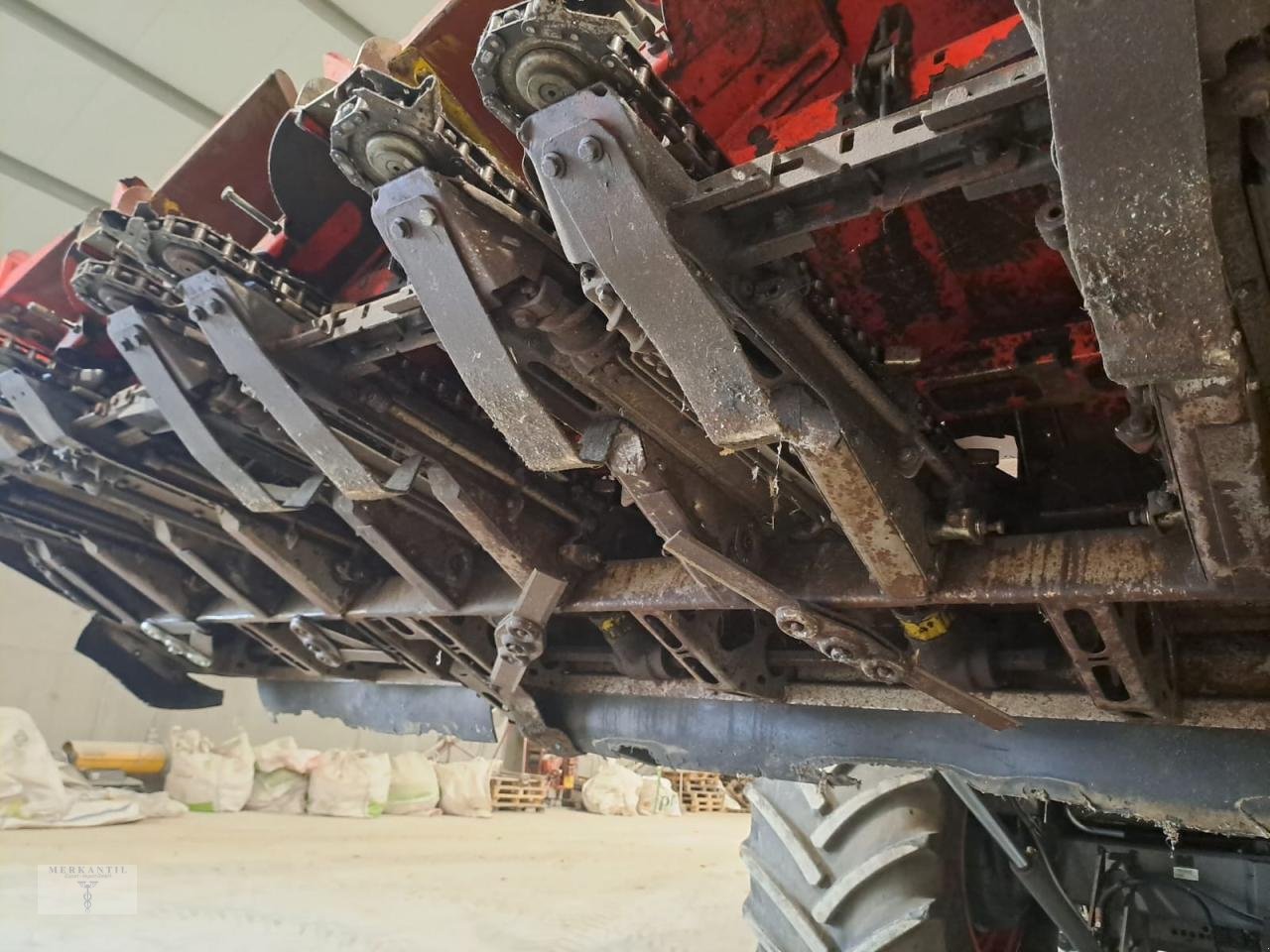 Maispflückvorsatz of the type Olimac Drago NR8TR, Gebrauchtmaschine in Pragsdorf (Picture 8)