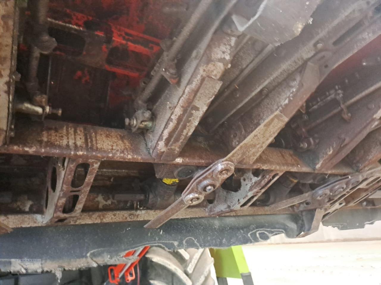 Maispflückvorsatz of the type Olimac Drago NR8TR, Gebrauchtmaschine in Pragsdorf (Picture 10)