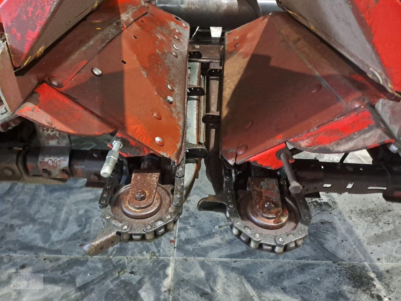 Maispflückvorsatz of the type Olimac Drago NR8TR, Gebrauchtmaschine in Pragsdorf (Picture 11)