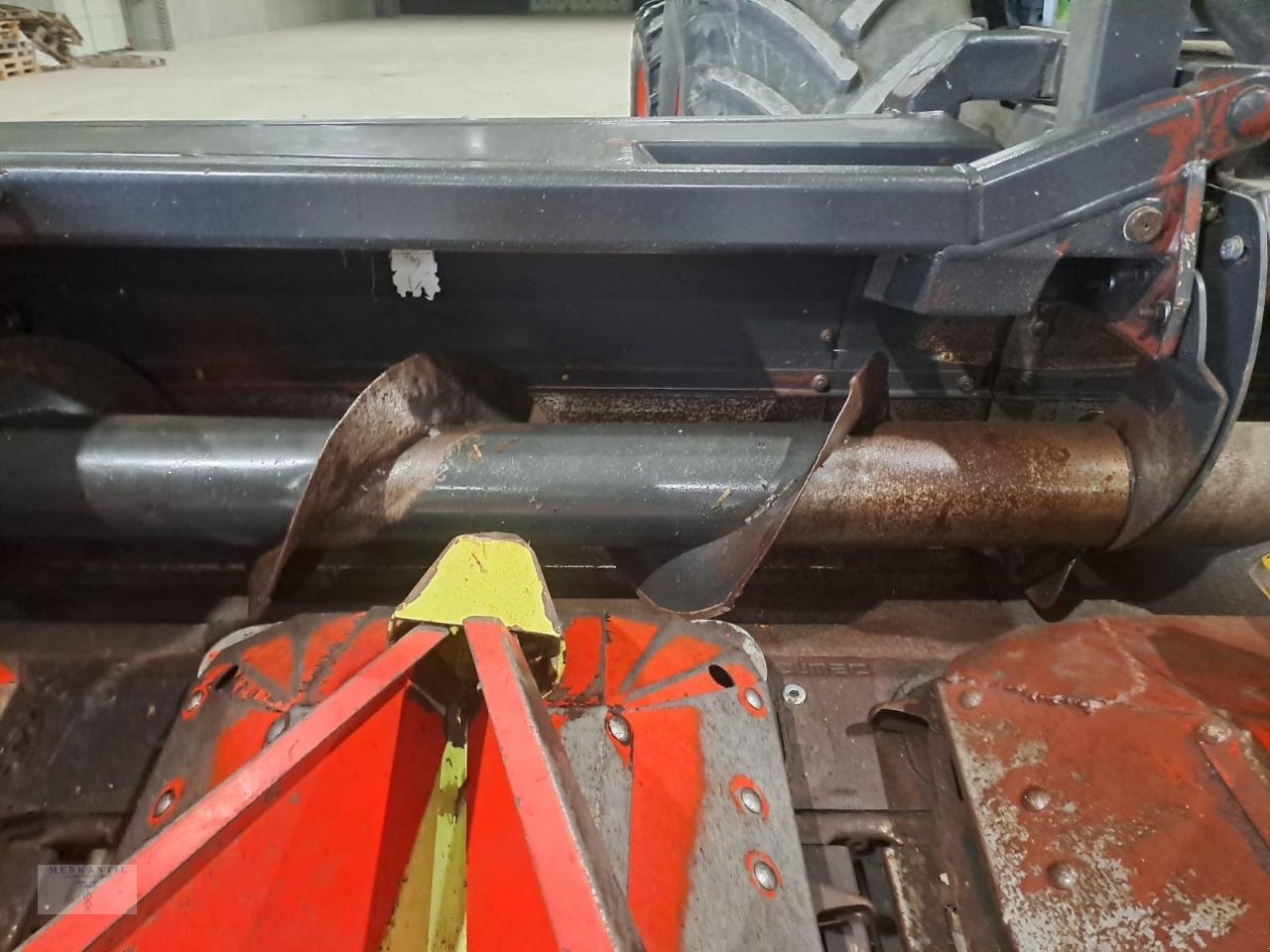 Maispflückvorsatz of the type Olimac Drago NR8TR, Gebrauchtmaschine in Pragsdorf (Picture 12)