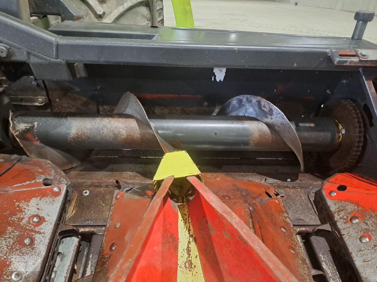 Maispflückvorsatz of the type Olimac Drago NR8TR, Gebrauchtmaschine in Pragsdorf (Picture 13)