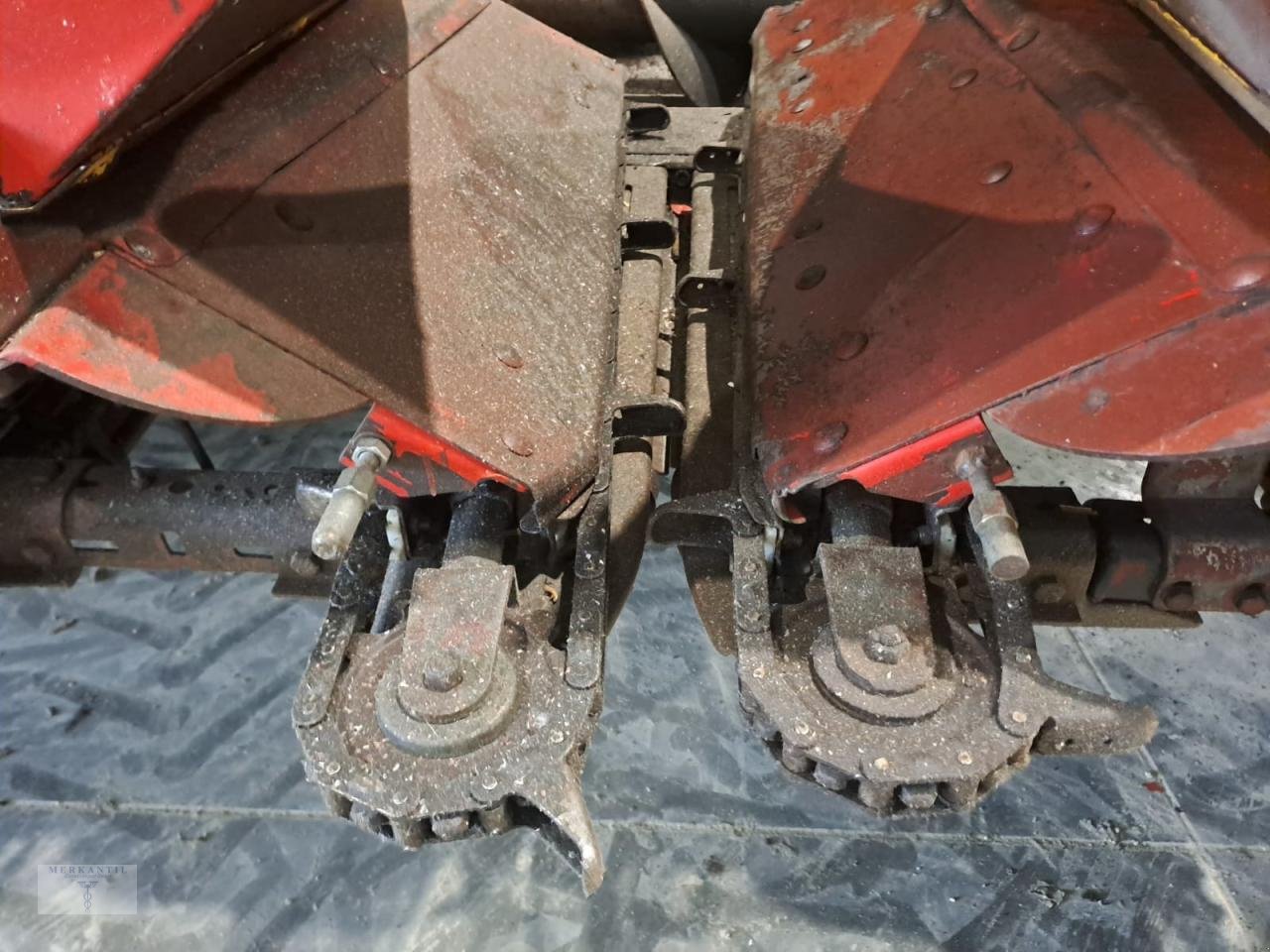 Maispflückvorsatz of the type Olimac Drago NR8TR, Gebrauchtmaschine in Pragsdorf (Picture 14)