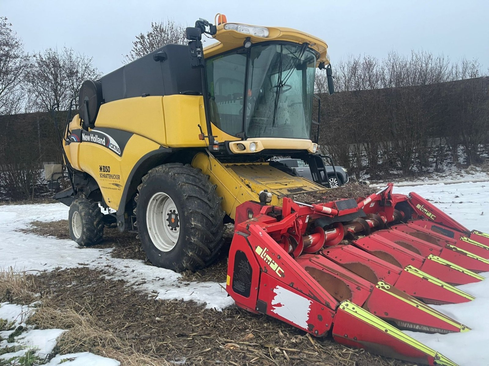 Maispflückvorsatz του τύπου Olimac Drago SR 6 TR, Gebrauchtmaschine σε Bad Leonfelden (Φωτογραφία 2)