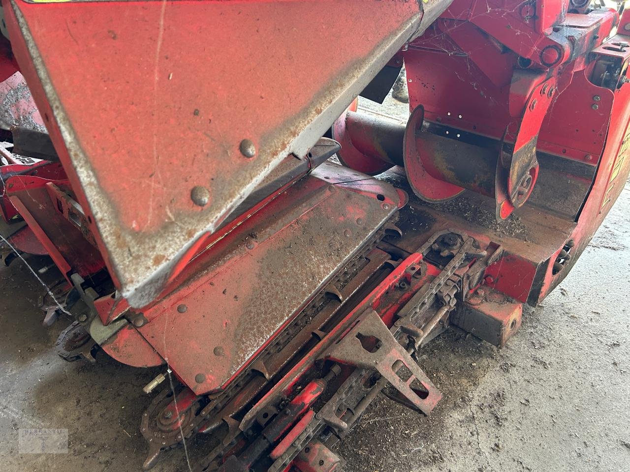 Maispflückvorsatz typu Olimac Drago SR 6 TR, Gebrauchtmaschine v Pragsdorf (Obrázek 4)