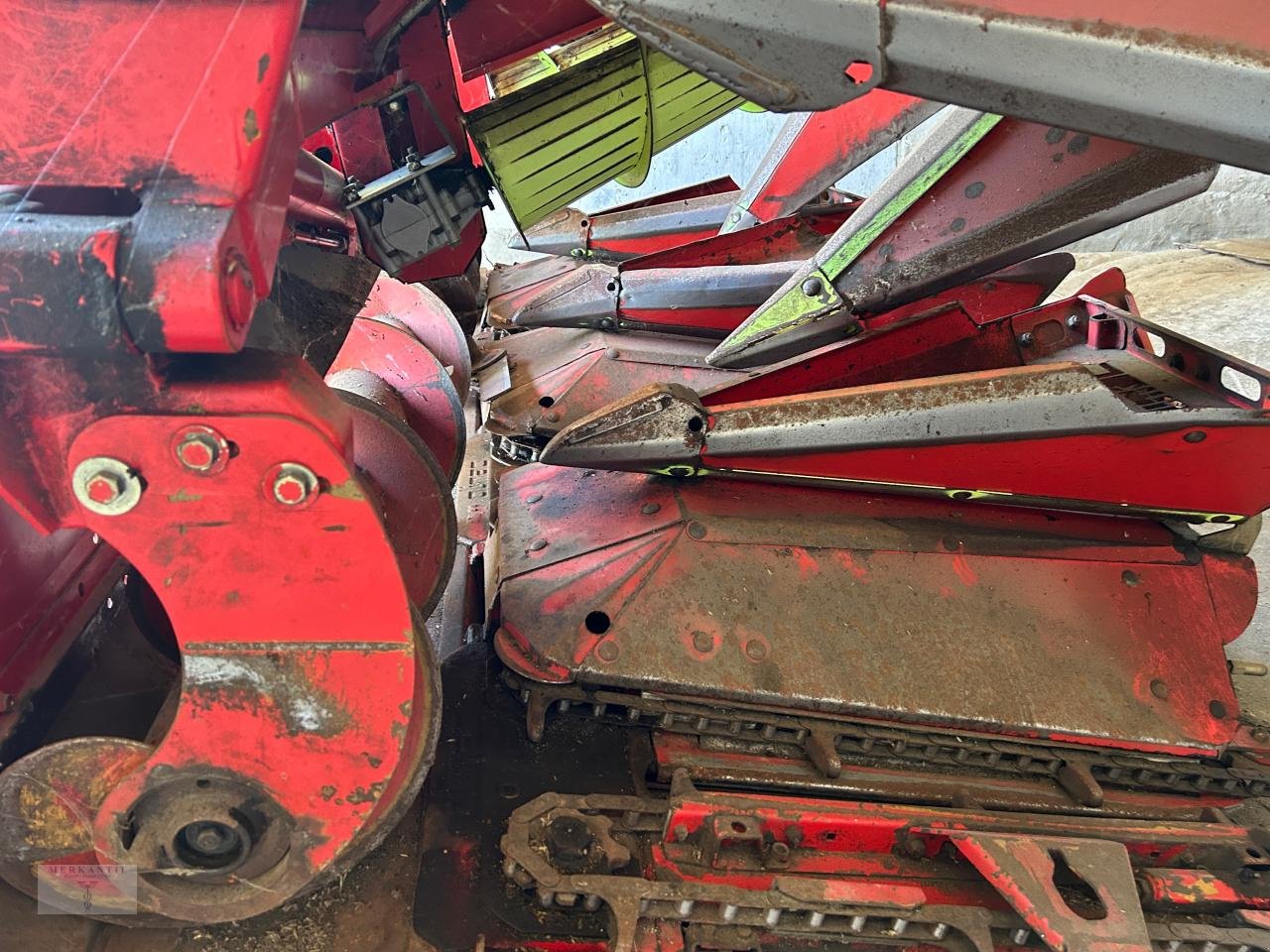 Maispflückvorsatz typu Olimac Drago SR 6 TR, Gebrauchtmaschine v Pragsdorf (Obrázek 7)