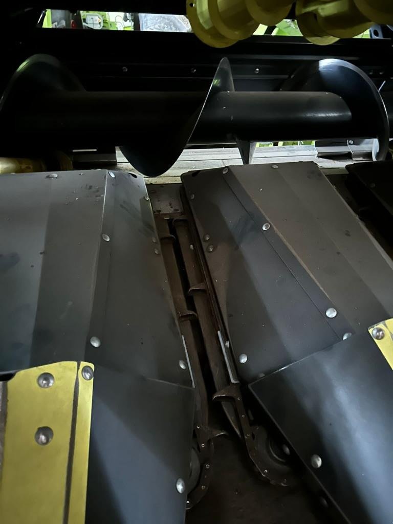 Maispflückvorsatz des Typs Olimac Olimac GT 8-rehig Doppelmesser (Claas), Gebrauchtmaschine in Schutterzell (Bild 15)