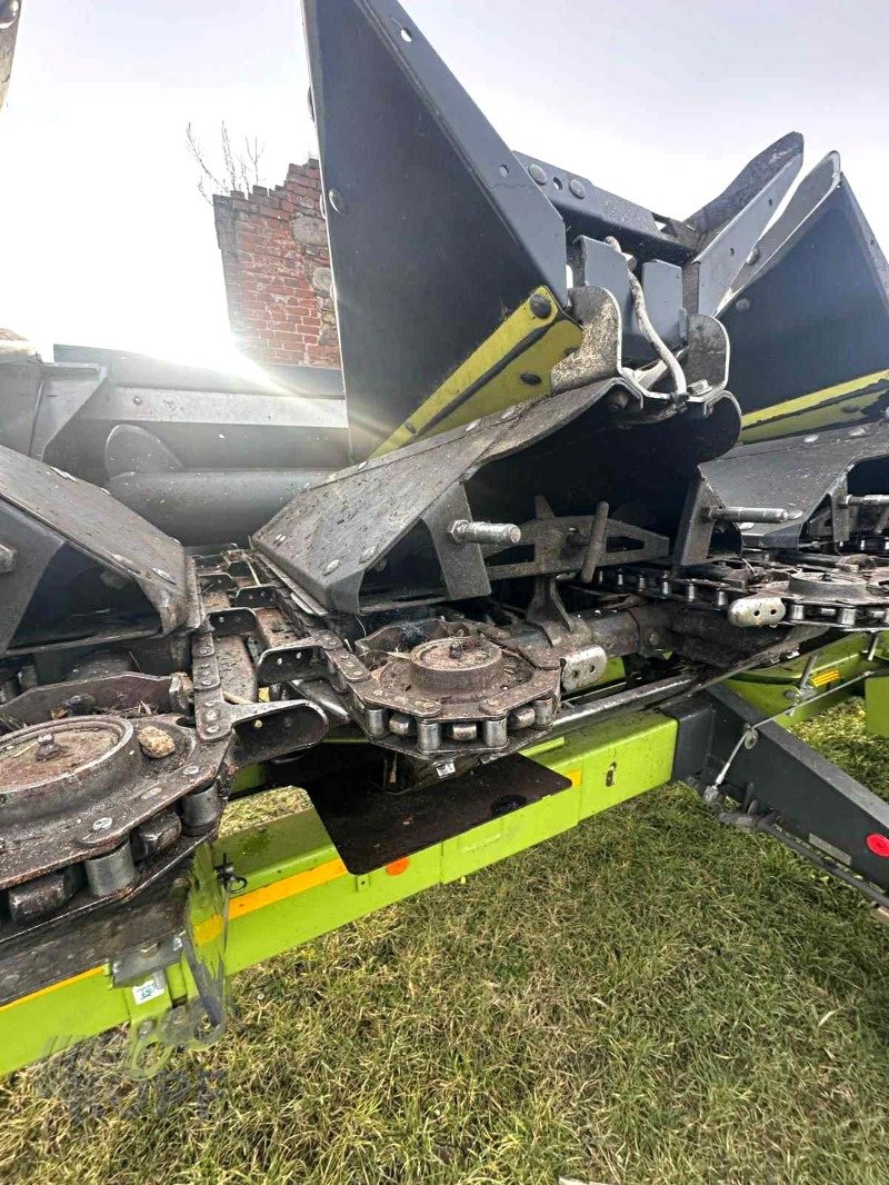 Maispflückvorsatz za tip Olimac Olimac Maispflücker Drago GT 12-reihig starr, Doppelmesser, Gebrauchtmaschine u Schutterzell (Slika 14)