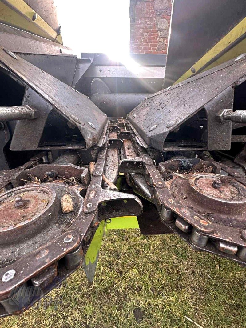 Maispflückvorsatz za tip Olimac Olimac Maispflücker Drago GT 12-reihig starr, Doppelmesser, Gebrauchtmaschine u Schutterzell (Slika 10)