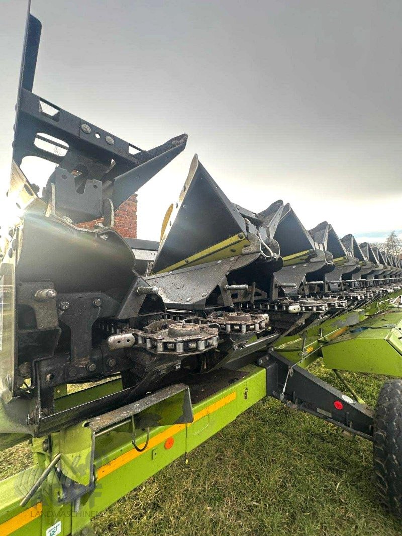 Maispflückvorsatz του τύπου Olimac Olimac Maispflücker Drago GT 12-reihig starr, Doppelmesser, Gebrauchtmaschine σε Schutterzell (Φωτογραφία 20)