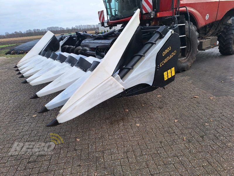 Maispflückvorsatz от тип Oros cornado / macdon c, Gebrauchtmaschine в Edewecht (Снимка 5)