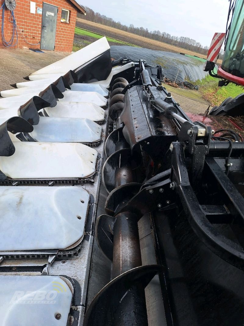 Maispflückvorsatz от тип Oros cornado / macdon c, Gebrauchtmaschine в Edewecht (Снимка 11)