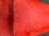 Maispflückvorsatz typu Pixall Capot et Pointe OXBOW BYRON PIXALL BOURGOIN, Gebrauchtmaschine v MARNAZ (Obrázek 3)
