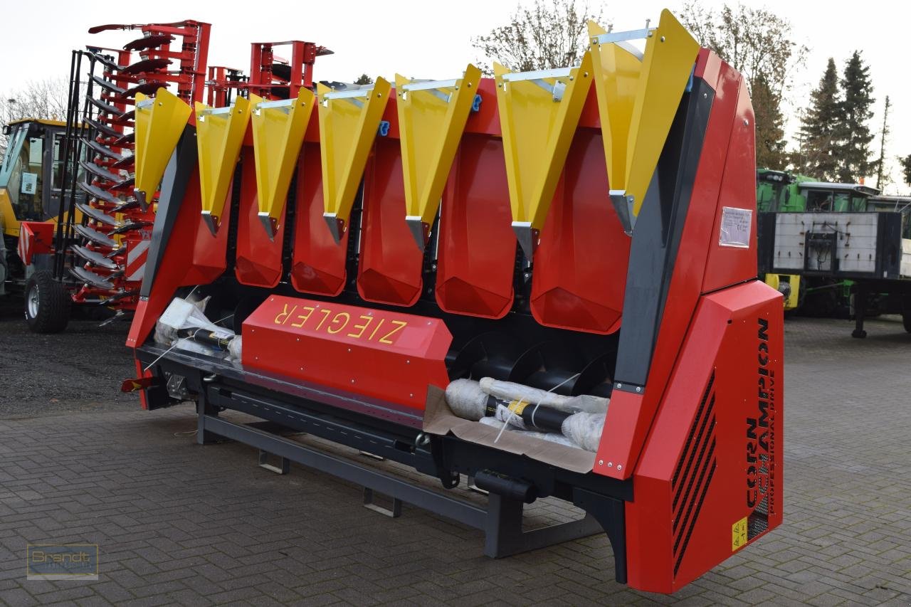 Maispflückvorsatz del tipo Ziegler Champion 6S ProDrive, Neumaschine en Oyten (Imagen 1)