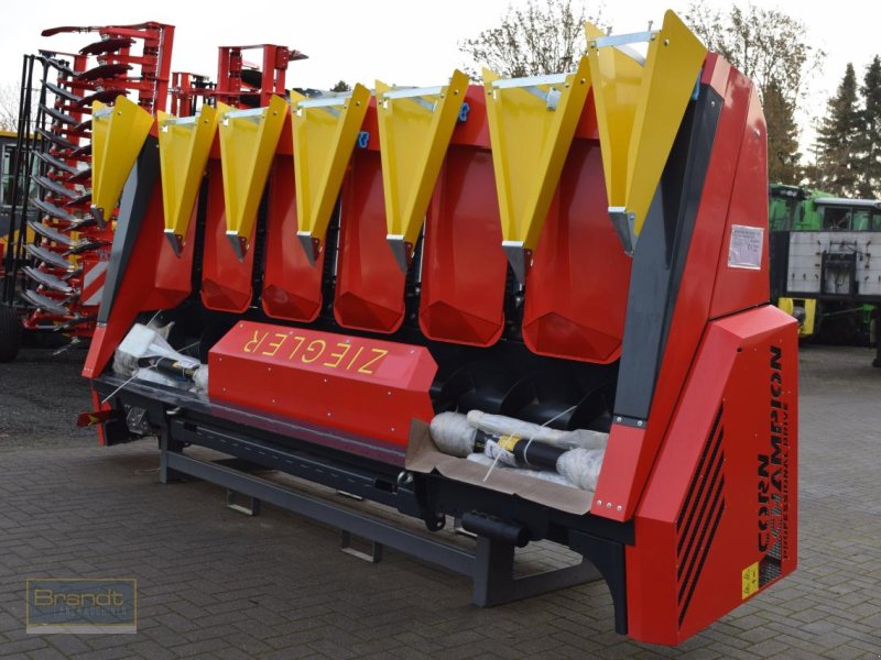 Maispflückvorsatz van het type Ziegler Champion 6S ProDrive, Neumaschine in Oyten