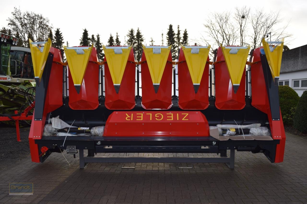 Maispflückvorsatz del tipo Ziegler Champion 6S ProDrive, Neumaschine en Oyten (Imagen 2)