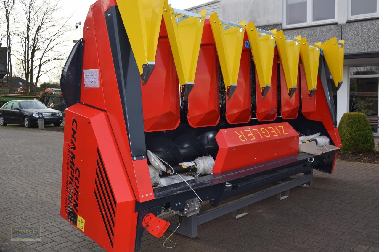 Maispflückvorsatz del tipo Ziegler Champion 6S ProDrive, Neumaschine en Oyten (Imagen 3)