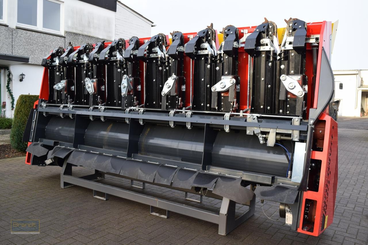 Maispflückvorsatz del tipo Ziegler Champion 6S ProDrive, Neumaschine en Oyten (Imagen 4)