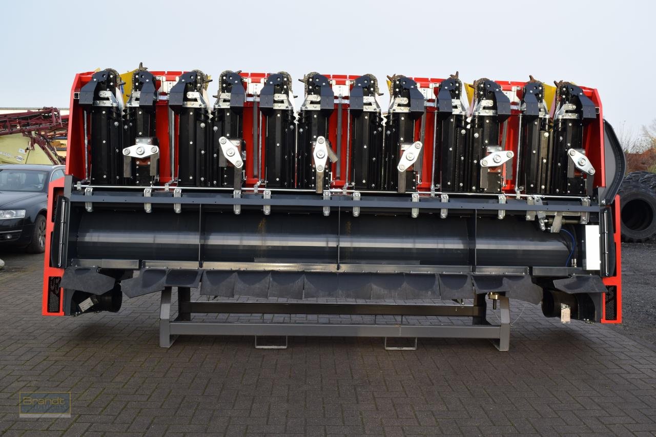 Maispflückvorsatz del tipo Ziegler Champion 6S ProDrive, Neumaschine en Oyten (Imagen 5)