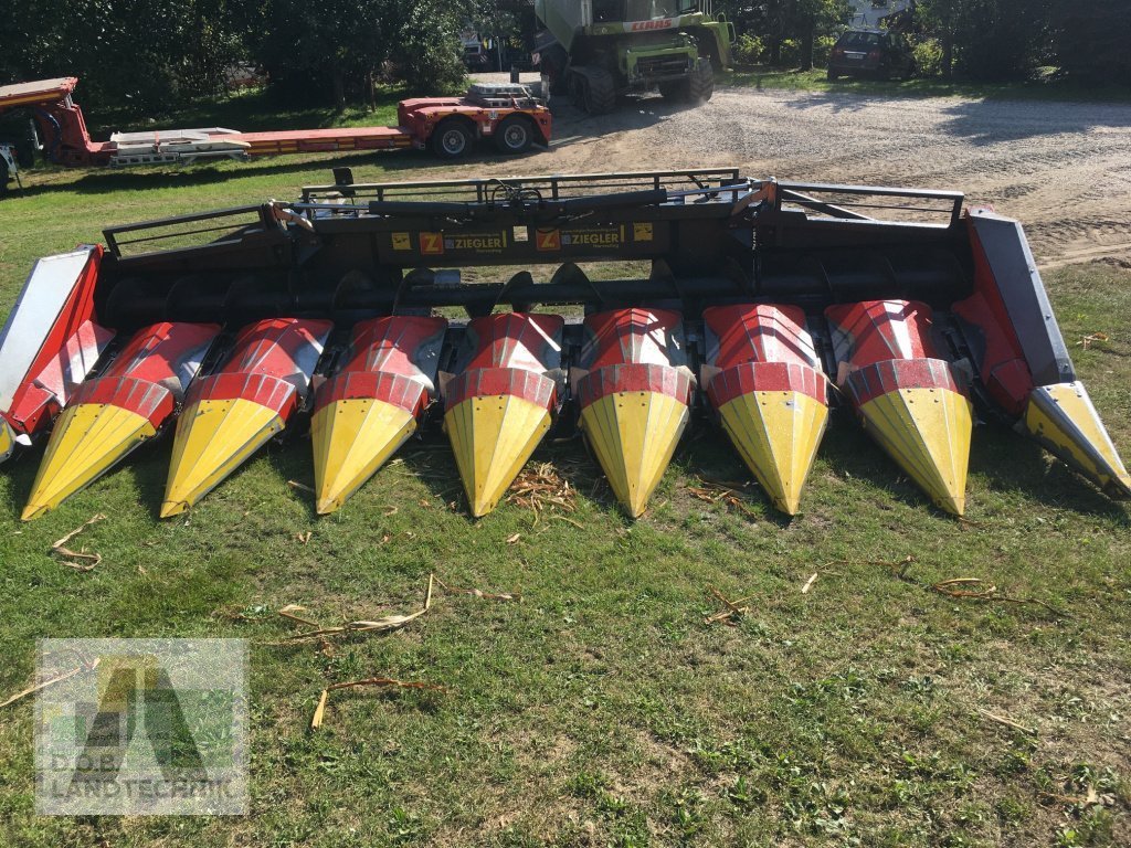 Maispflückvorsatz typu Ziegler Corn Champion, Gebrauchtmaschine v Regensburg (Obrázek 2)