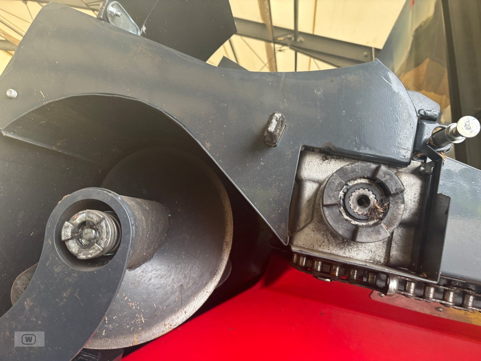 Maispflückvorsatz от тип Ziegler Corn Master X 6/70, Neumaschine в Zell an der Pram (Снимка 18)