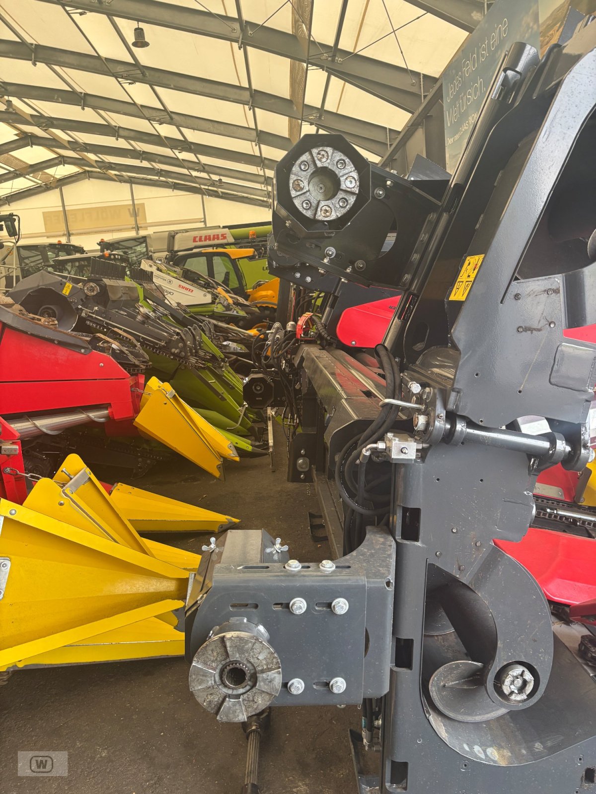 Maispflückvorsatz от тип Ziegler Corn Master X 6/70, Neumaschine в Zell an der Pram (Снимка 19)