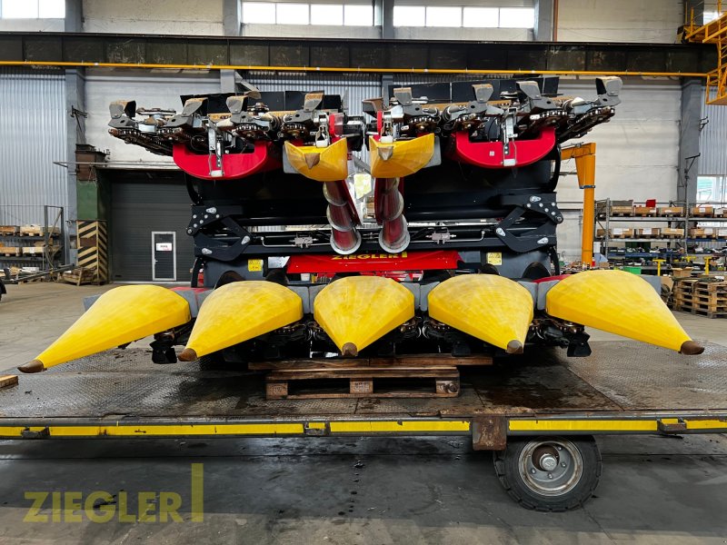 Maispflückvorsatz типа Ziegler Corn Master X 6x75cm, Gebrauchtmaschine в Pöttmes